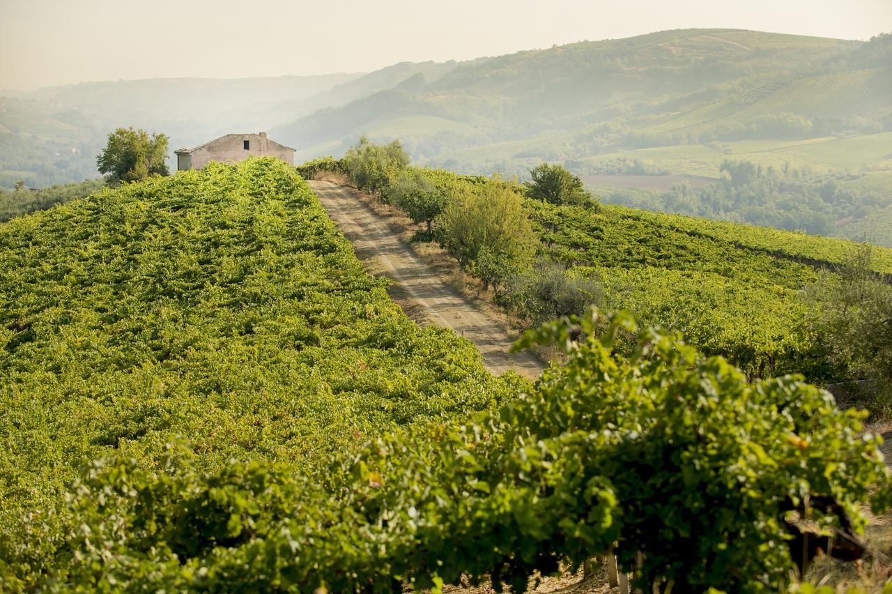 Baldovino B&B Villamagna  Eksteriør bilde